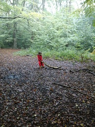 Activity image